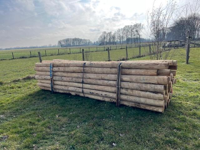 kastanje palen 400 cm, Tuin en Terras, Palen, Balken en Planken, Nieuw, Palen, 250 cm of meer, Ophalen