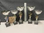 Trofeeën/wedstrijdbekers/sportprijzen/bokalen, set 36, Sport en Fitness, Ophalen of Verzenden, Gebruikt