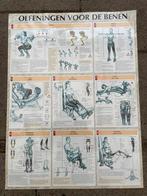Grote posters trainingsschema, Ophalen of Verzenden