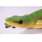 Gecko beeld – Gekko Lengte 65 cm, Nieuw, Ophalen