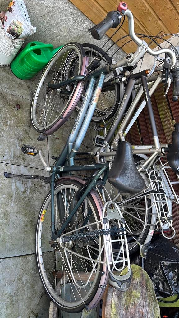 Vrouwenfiets 100 euro, Doe-het-zelf en Verbouw, Metalen, Ophalen, Zo goed als nieuw