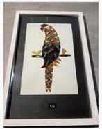 Papegaai van echte vlindervleugels gemaakt in lijst 39 x 26, Antiek en Kunst, Curiosa en Brocante, Ophalen of Verzenden