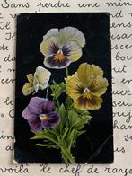 2-4-1909 Viooltjes (JJ), Ophalen of Verzenden, Voor 1920, Gelopen, Natuur