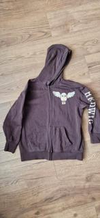 Vest Harry Potter Hedwig maat 134-140, Gebruikt, Meisje, Trui of Vest, H&M