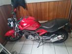 Cagiva Raptor 1000, Motoren, 2 cilinders, Particulier, Meer dan 35 kW, 1000 cc