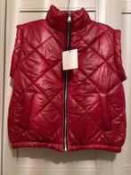 Nieuwe Wijnrode Bodywarmer - One Size (tot 42), Kleding | Dames, Bodywarmers, Ophalen of Verzenden, Nieuw, Maat 42/44 (L), Rood