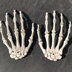 Handen Menselijk Anatomie Model / School Botten Skelet, Diversen, Schoolbenodigdheden, Verzenden, Nieuw