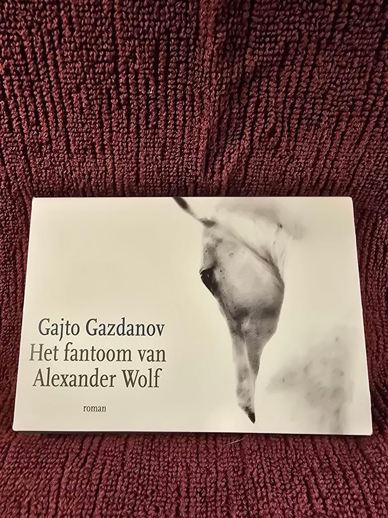 Het fantoom van Alexander Wolf - Gajto Gazdanov, Ophalen of Verzenden, Zo goed als nieuw, Gajto Gazdanov, Nederland