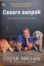 Cesars aanpak, Honden, Cesar Millan, Ophalen of Verzenden, Zo goed als nieuw