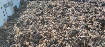 Gratis Goede compost van paardenmest, of verse mest beschikbaar voor biedingen