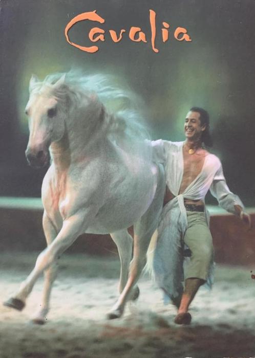 Cavalia - Paarden - Albert Rudnicki - 2006, Cd's en Dvd's, Dvd's | Documentaire en Educatief, Zo goed als nieuw, Overige typen