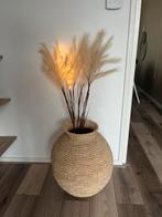 Pampas pluimen met verlichting - 7 stuks, Ophalen, Nieuw