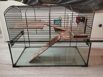 Glazen hamsterkooi beschikbaar voor biedingen