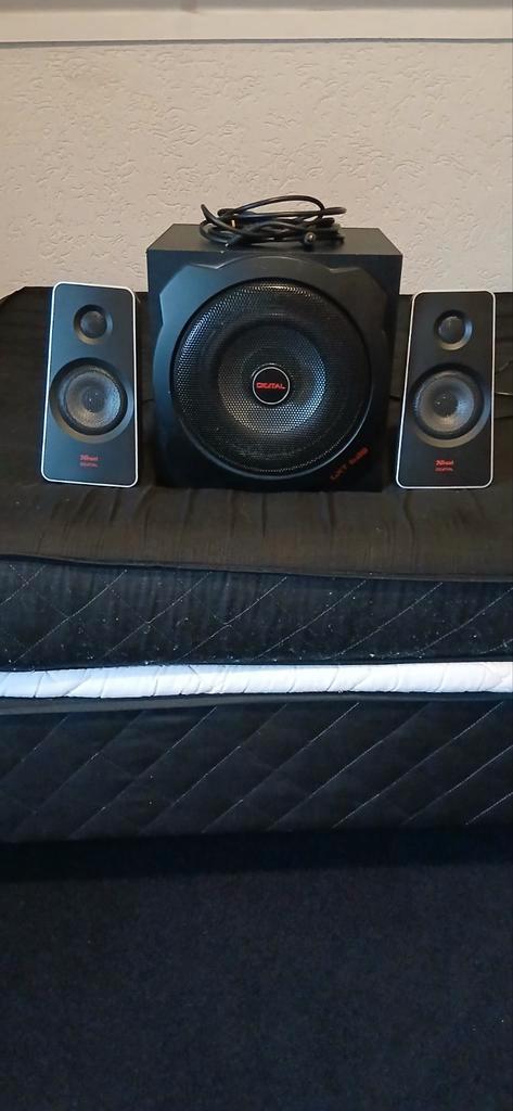 Trust master subwoofer, Computers en Software, Pc speakers, Gebruikt, Ophalen of Verzenden
