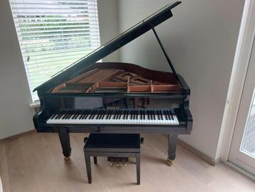 Te koop Bol Bechstein G151 babyvleugel beschikbaar voor biedingen