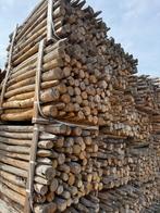 kastanje palen voor tuin & weide afrastering PEFC-hout, Ophalen, Palen, Nieuw, Hardhout