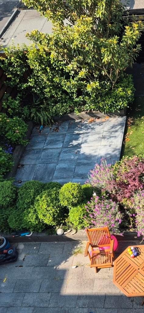 tuintegels, Tuin en Terras, Tegels en Klinkers, Gebruikt, Terrastegels, Beton, Ophalen