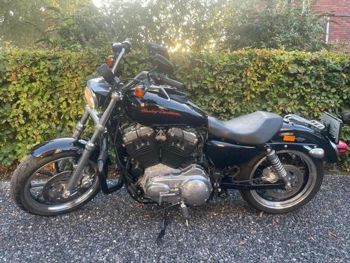 Harley Davidson sportster  xl 883 L Super low **nieuwstaat**, Motoren, Motoren | Harley-Davidson, Bedrijf, Chopper, meer dan 35 kW