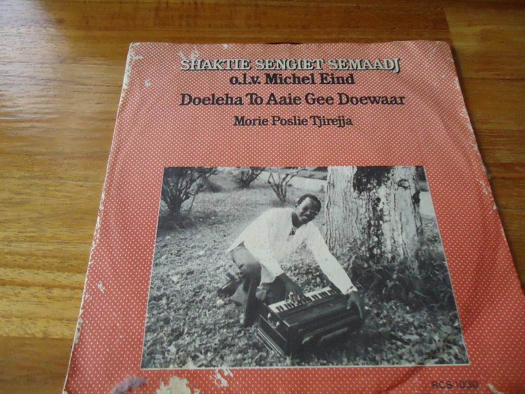 Michel Eind, Ophalen of Verzenden, Zo goed als nieuw, 12 inch, Aziatisch