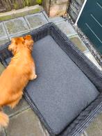 Wicker mand met kussen, Dieren en Toebehoren, Ophalen of Verzenden, Zo goed als nieuw, Overige