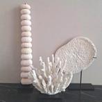 🌺Nieuwe set zeeegels faux koralen op voet| japandi chic, Huis en Inrichting, Nieuw, Ophalen of Verzenden, X, X