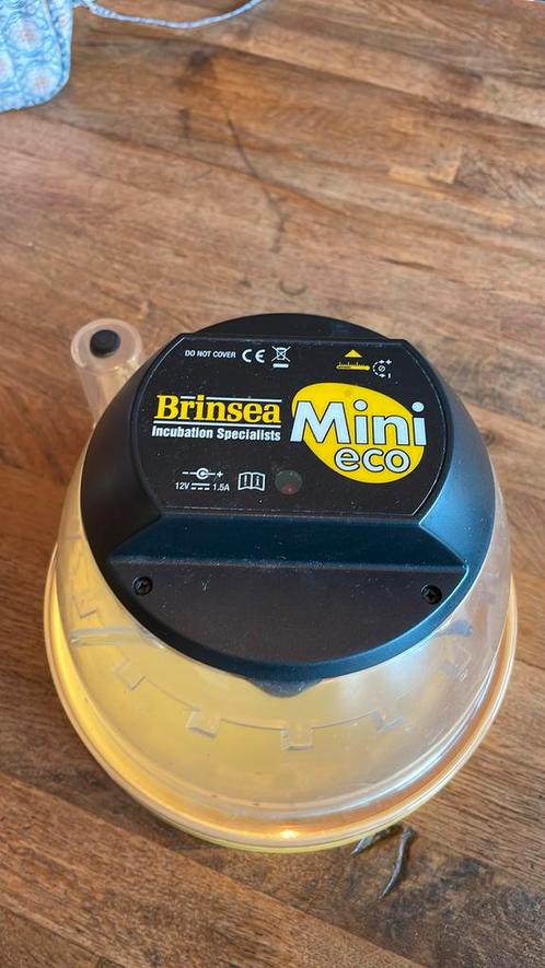 brinsea mini eco broedmachine, Dieren en Toebehoren, Pluimvee | Toebehoren, Zo goed als nieuw, Broedmachine, Ophalen of Verzenden