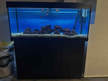  Juvel 240L Aquarium  beschikbaar voor biedingen