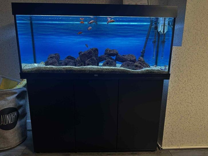 Juvel 240L Aquarium, Dieren en Toebehoren, Vissen | Aquaria en Toebehoren, Zo goed als nieuw, Leeg aquarium, Ophalen
