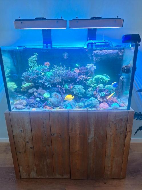 Zeeaquarium leeg met techniek, Dieren en Toebehoren, Vissen | Aquaria en Toebehoren, Zo goed als nieuw, Leeg aquarium, Ophalen