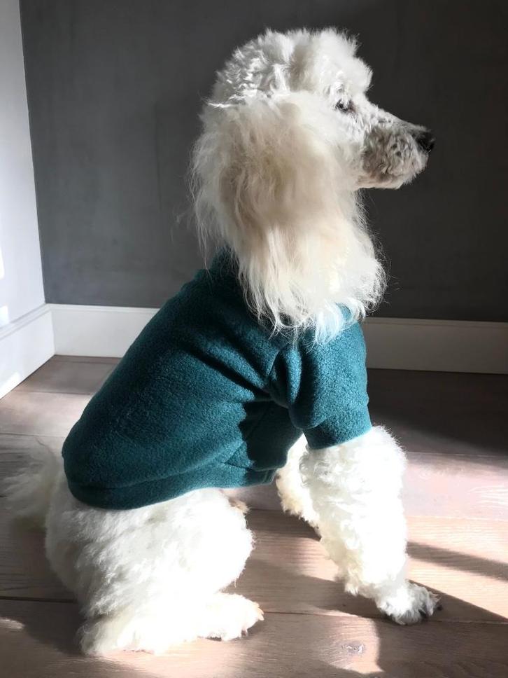 Warme Trui Hondenkleding Chihuahua pup boomer Pom Handmade, Dieren en Toebehoren, Hondenkleding, Nieuw, Hondentrui, Ophalen of Verzenden