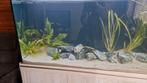 Aqualantis aquarium 150cm-60cm-70 cm, Dieren en Toebehoren, Vissen | Aquaria en Toebehoren, Ophalen, Zo goed als nieuw, Gevuld zoetwateraquarium