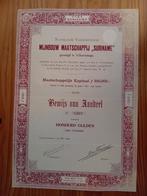 Aandeel Mijnbouw Maatschappij Suriname - 1904, Ophalen of Verzenden, Voor 1920, Aandeel