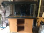 Juwel aquarium 120x60x50 cm, Ophalen of Verzenden, Gebruikt, Leeg aquarium