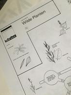 Zoekkaart. Wilde planten, Verzenden, Bloemen, Planten en Bomen
