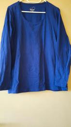 Leuke blauwe trui, Kleding | Dames, Ophalen of Verzenden, Zo goed als nieuw, Blauw, Lange mouw