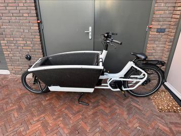 Urban Arrow Family Performance Plus 500Wh - 2022 - 3.200 km beschikbaar voor biedingen