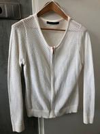 Rozes of Avalon vest met rose goud rose gold rits maat 42 L, Overige kleuren, Maat 42/44 (L), Nieuw, Ophalen of Verzenden