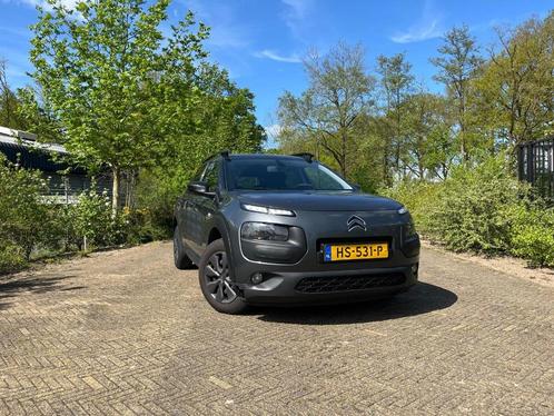 Citroen C4 Cactus 1.6 Blue HDI Business 100, Auto's, Citroën, Particulier, C4 Cactus, ABS, Achteruitrijcamera, Airbags, Airconditioning