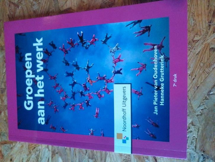 Jan Pieter van Oudenhoven - Groepen aan het werk, Boeken, Psychologie, Zo goed als nieuw, Sociale psychologie, Ophalen of Verzenden
