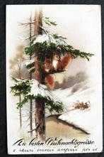 De eekhoorntjes hebben een mooi, knus plekje gevonden, 1929, Verzamelen, Ansichtkaarten | Dieren, Verzenden, 1920 tot 1940, Gelopen