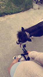 bijrijder aangeboden/leasepony gezocht, Dieren en Toebehoren, Ophalen of Verzenden