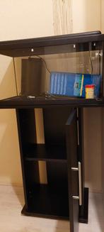 Aquarium 60 liter met kast en nieuwe
filter., Karper of Koi