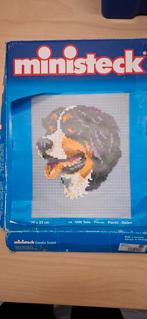 Ministek Berner sennenhond, Ophalen of Verzenden, Zo goed als nieuw, Box-set