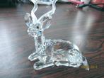 Swarovski Koedoe incl. doos & certificaat, Verzamelen, Ophalen of Verzenden, Nieuw, Figuurtje