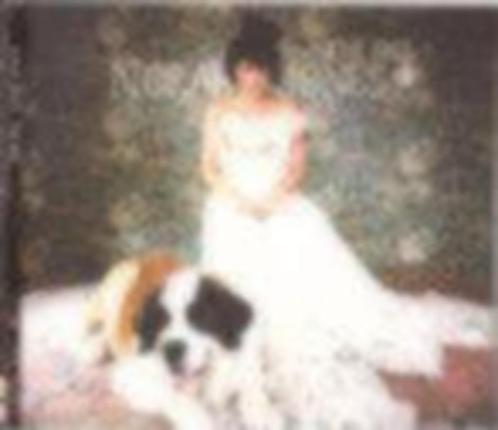 Norah jones – the fall CD 509996 99286 2 8 gatefold sleeve (, Cd's en Dvd's, Cd's | Jazz en Blues, Zo goed als nieuw, Jazz, 1980 tot heden