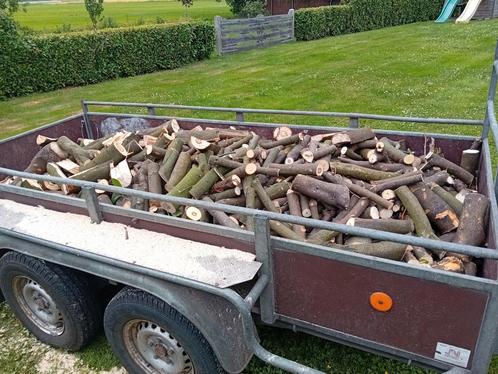 Brandhout. Vers, Tuin en Terras, Haardhout, Stammen, Overige houtsoorten, Minder dan 3 m³, Ophalen of Verzenden