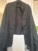 Prachtige grote sjaal acne studios virgin/wool, Kleding | Dames, Ophalen of Verzenden, Zo goed als nieuw, Maat 46/48 (XL) of groter