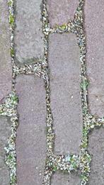 Oude gebakken waaltjes 80m², Ophalen of Verzenden, Gebruikt, 10 m² of meer, Klinkers