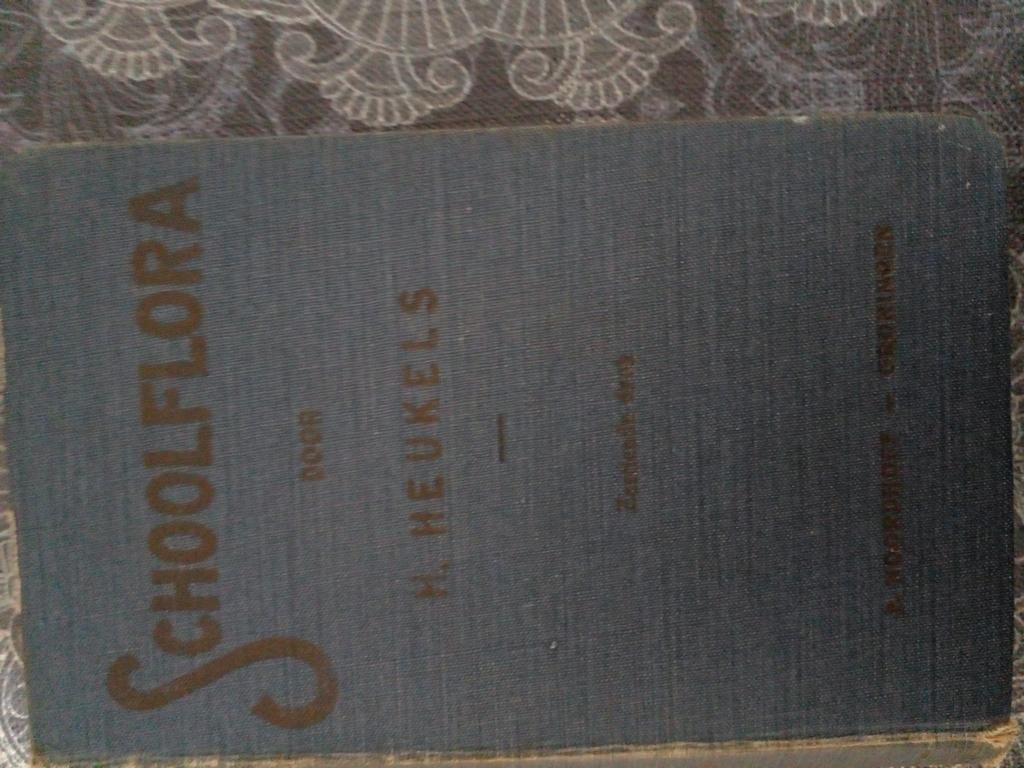 Schoolflora voor Nederland door H. Heukels, Ophalen of Verzenden, Gelezen, Bloemen, Planten en Bomen, H. Heukels