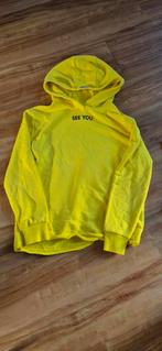 Trui  vingino maat 14, Ophalen, Zo goed als nieuw, Meisje, Trui of Vest